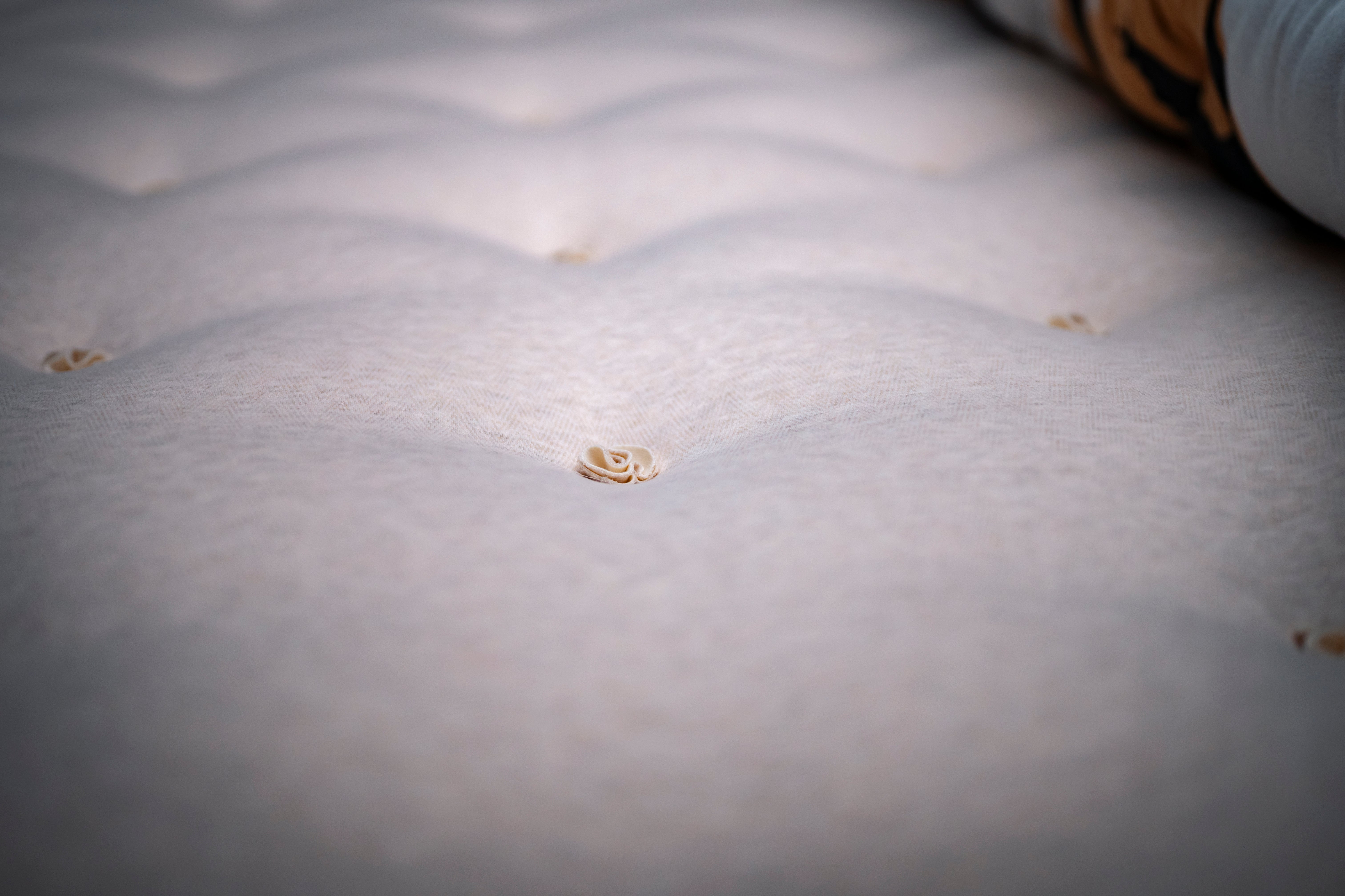 Horsehair mattress  小黄牛
